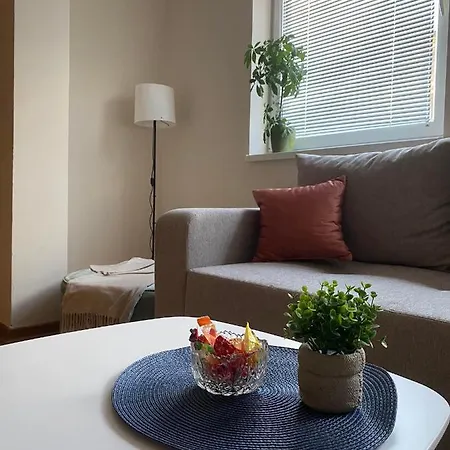 D Apartment Free Private Parking Fast Wi-Fi Νόβι Σαντ Εξωτερικό φωτογραφία