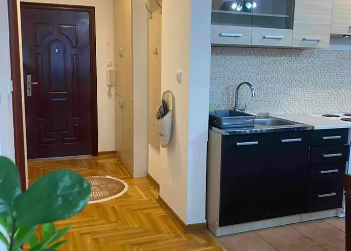 D Apartment Free Private Parking Fast Wi-Fi